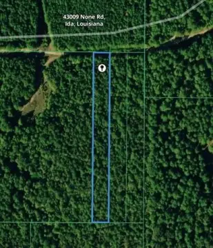 Vacant Land in Ida, LA