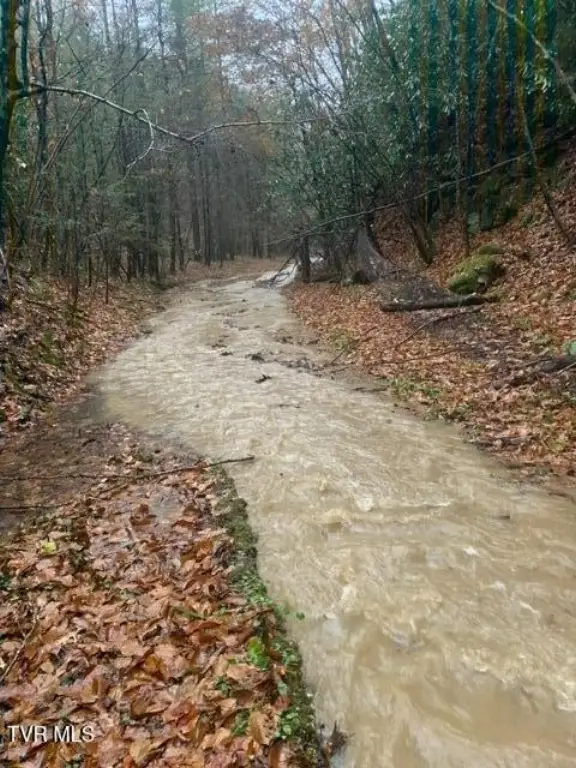 Picture 38