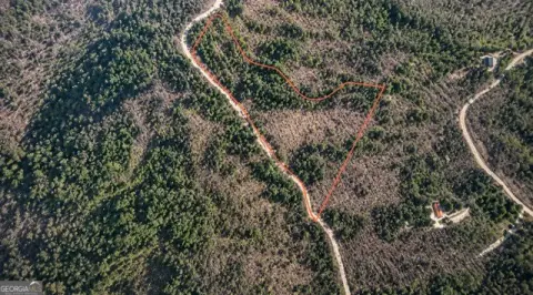 Ellijay, GA Wooded Retreat