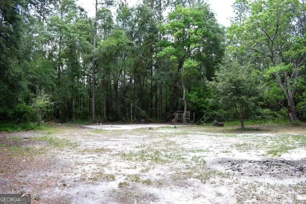 Picture 5