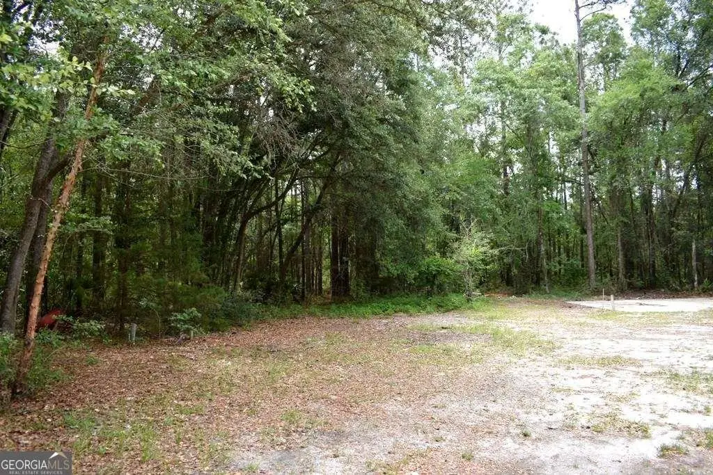 Picture 4