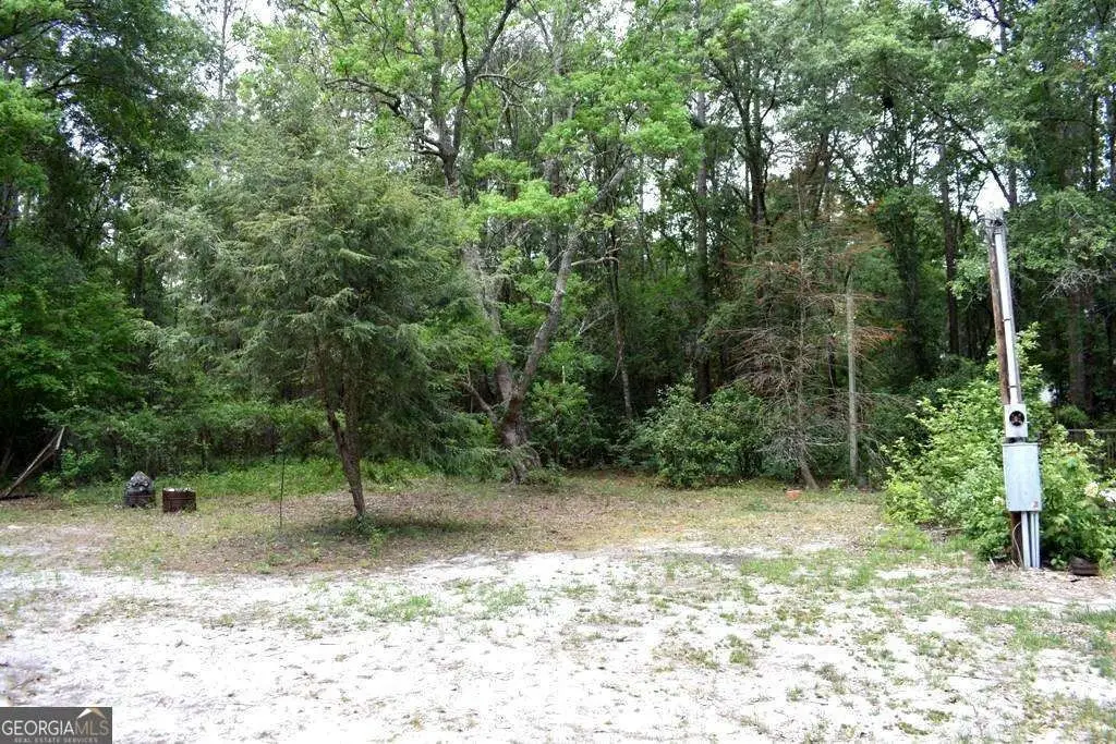 Picture 6