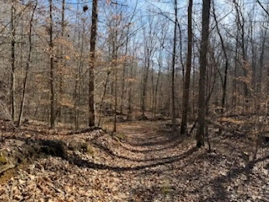 Picture 18