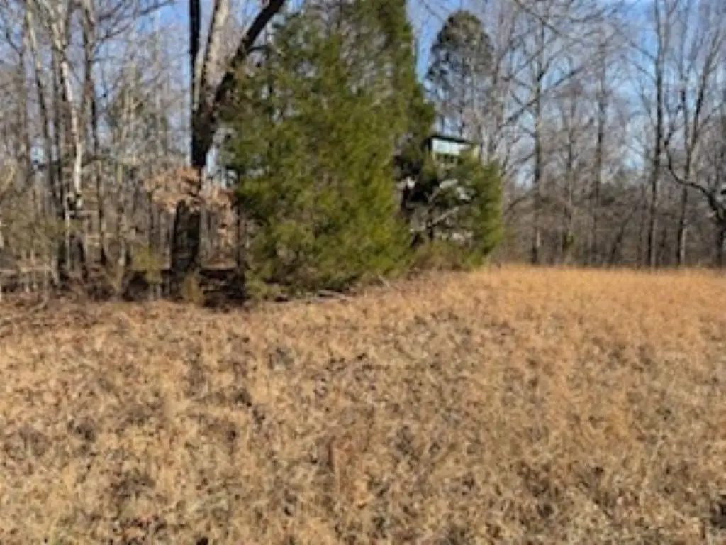 Picture 4