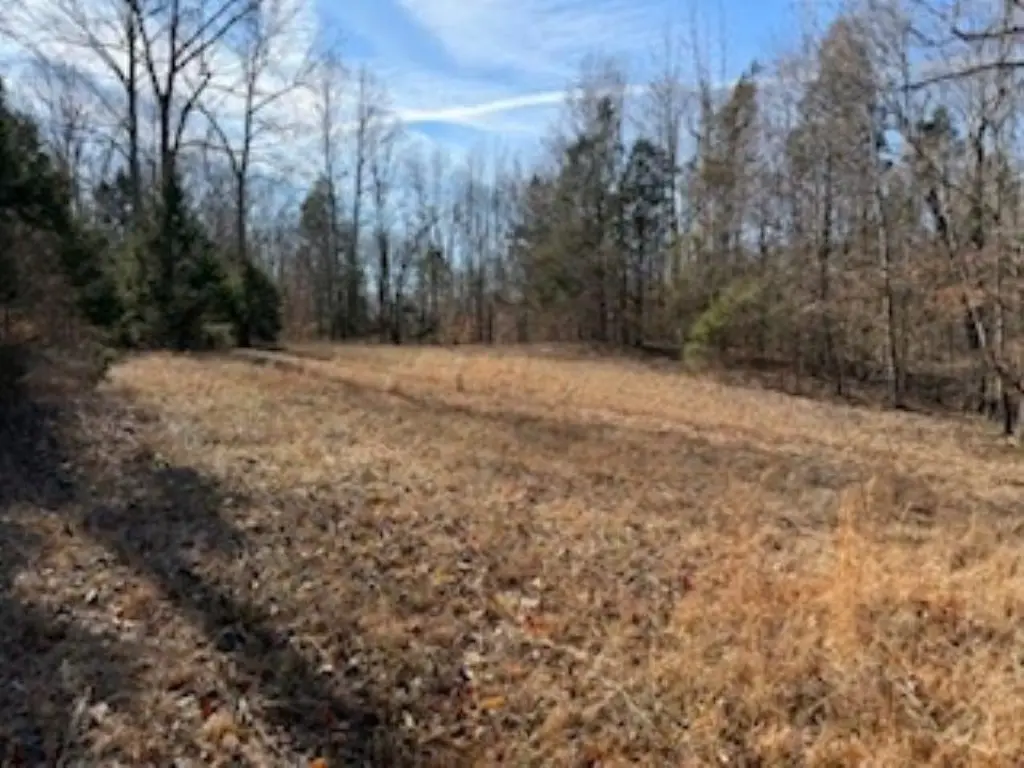 Picture 3