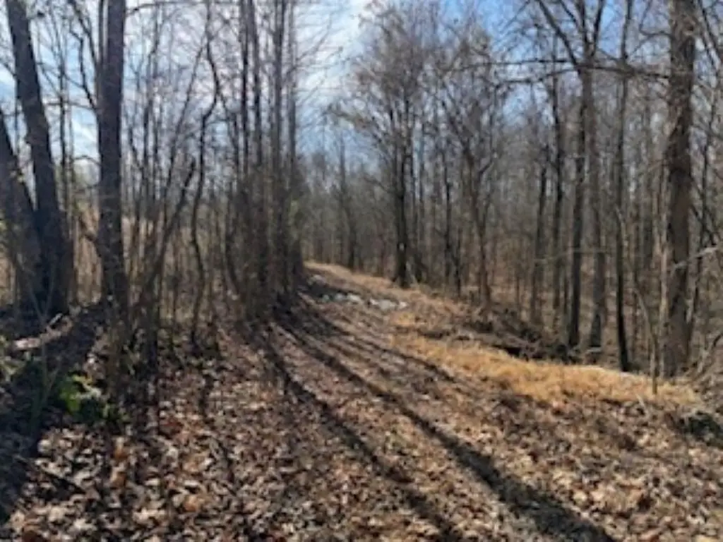 Picture 16