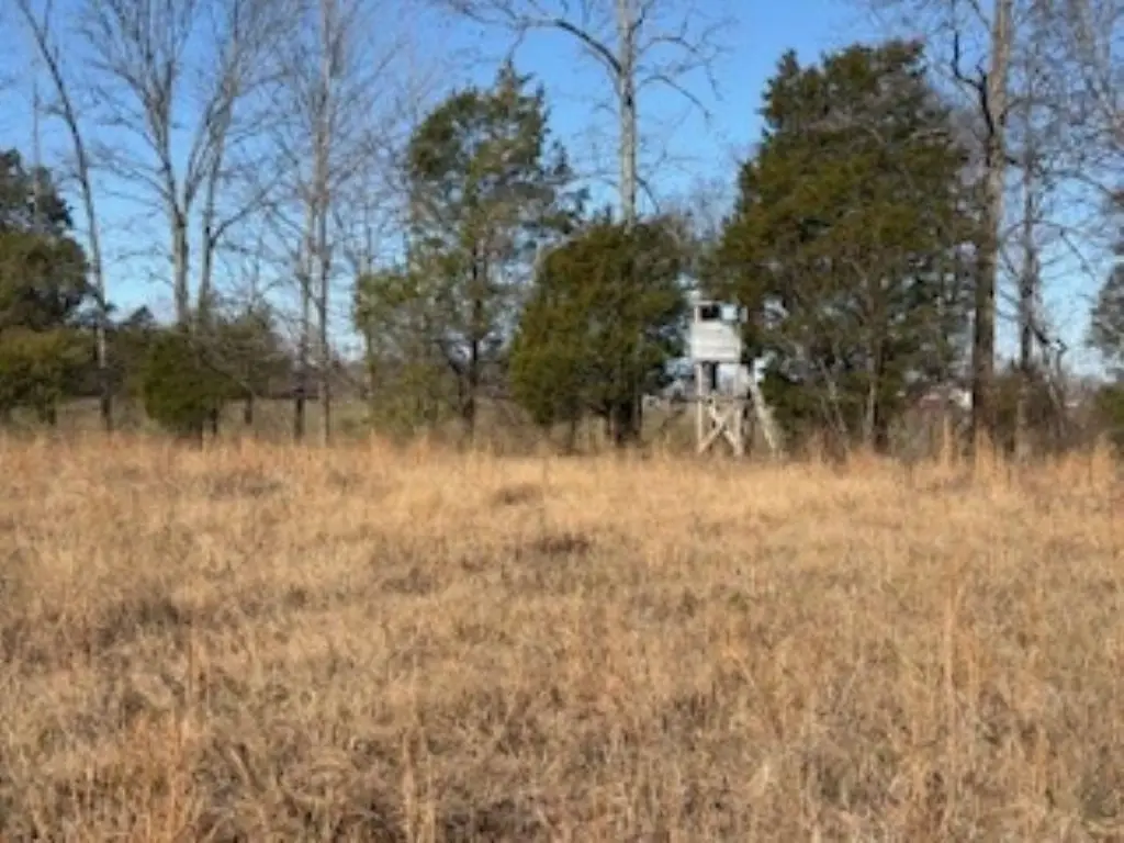 Picture 13