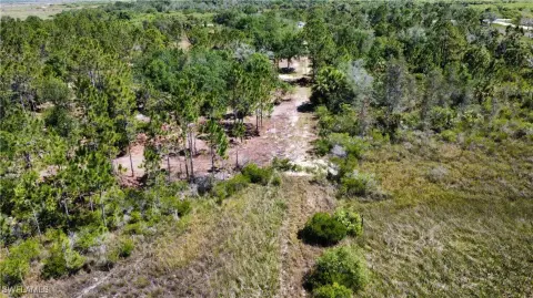 Private Wooded Land in Punta Gorda