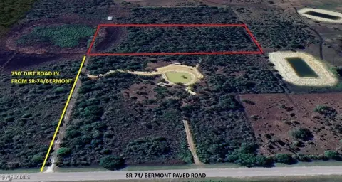Private Wooded Land in Punta Gorda