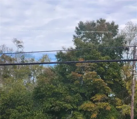 Wooded Lot in Mobile, AL