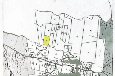 Wooded Land Parcel