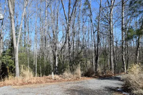 Ellijay Land in Gated Community