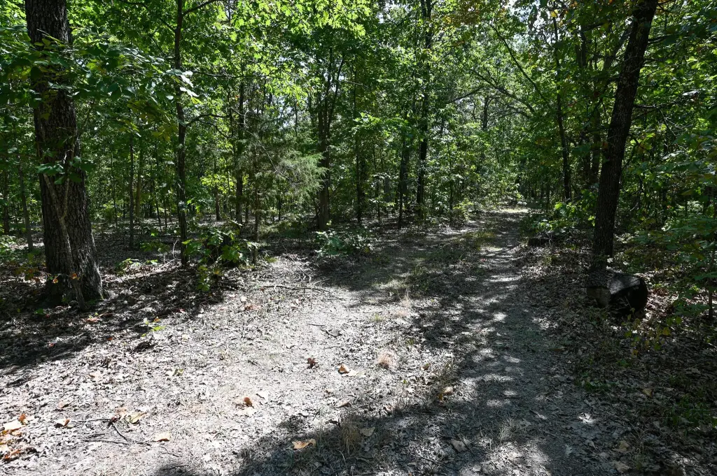 Picture 11