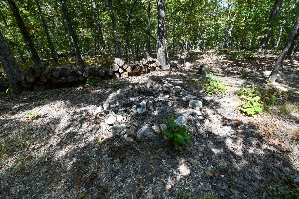 Picture 15
