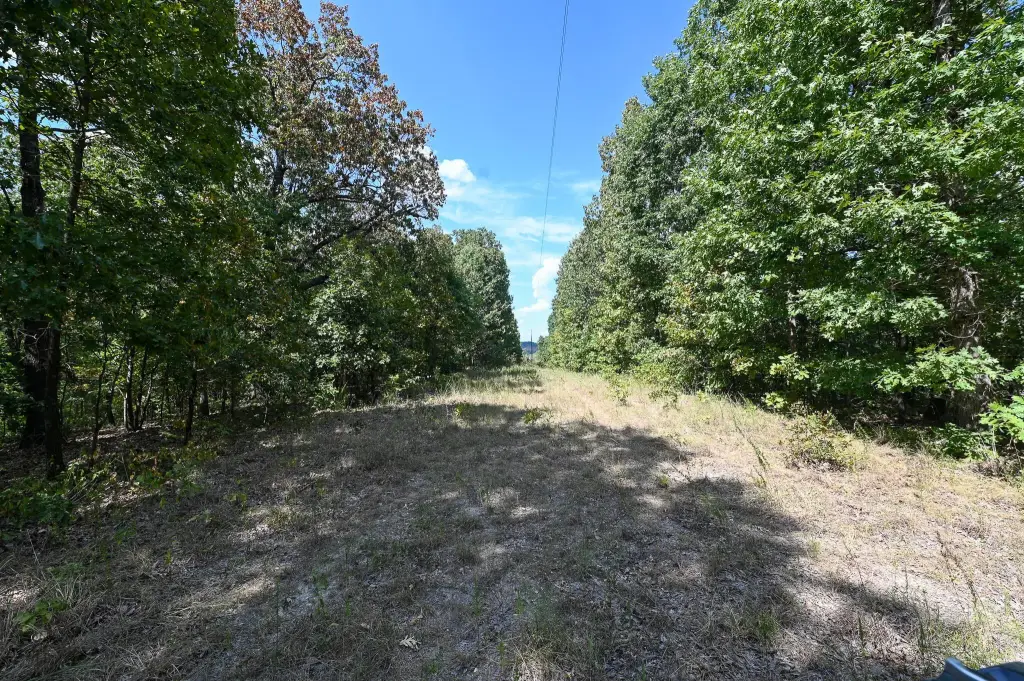 Picture 26