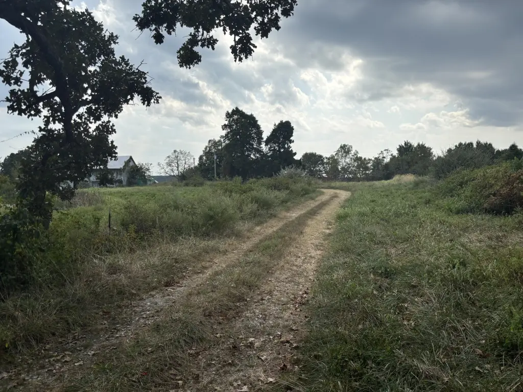 Picture 48