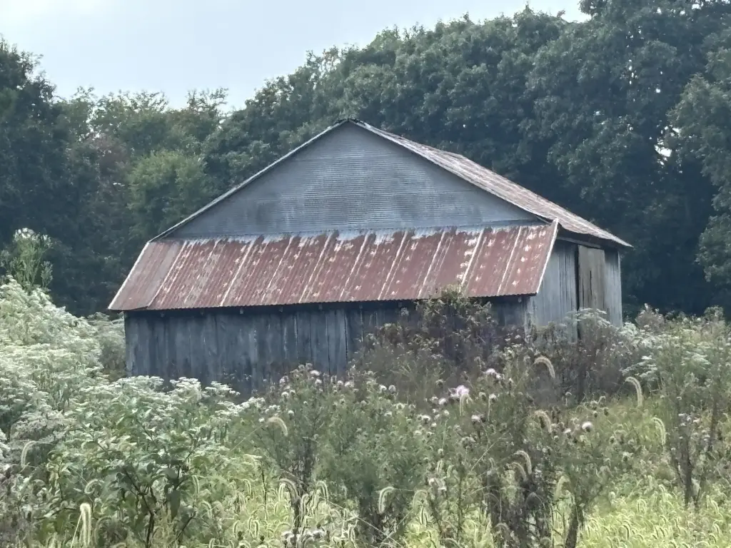 Picture 20