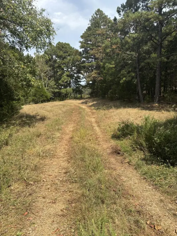 Picture 17