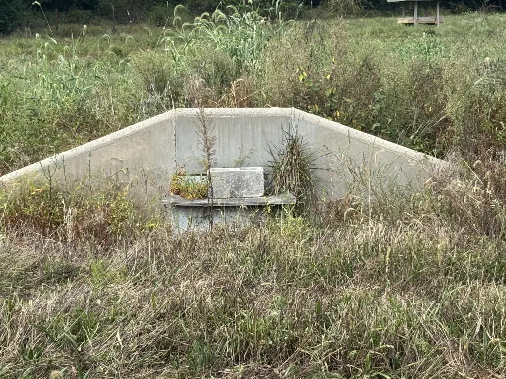 Picture 21