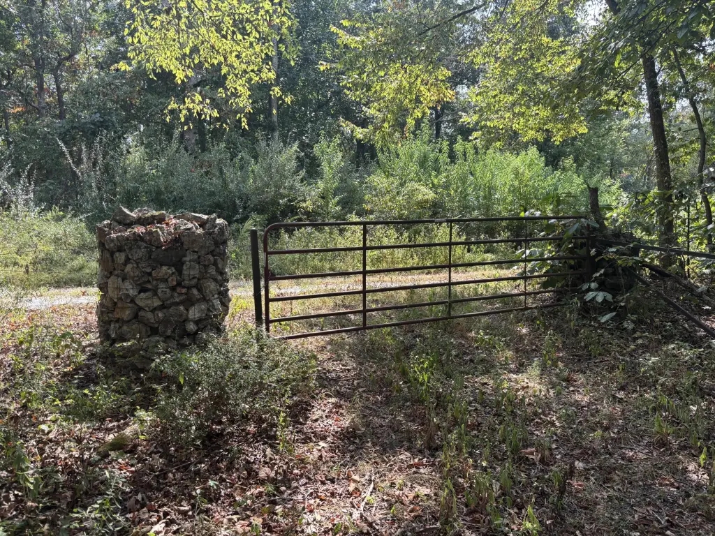 Picture 24