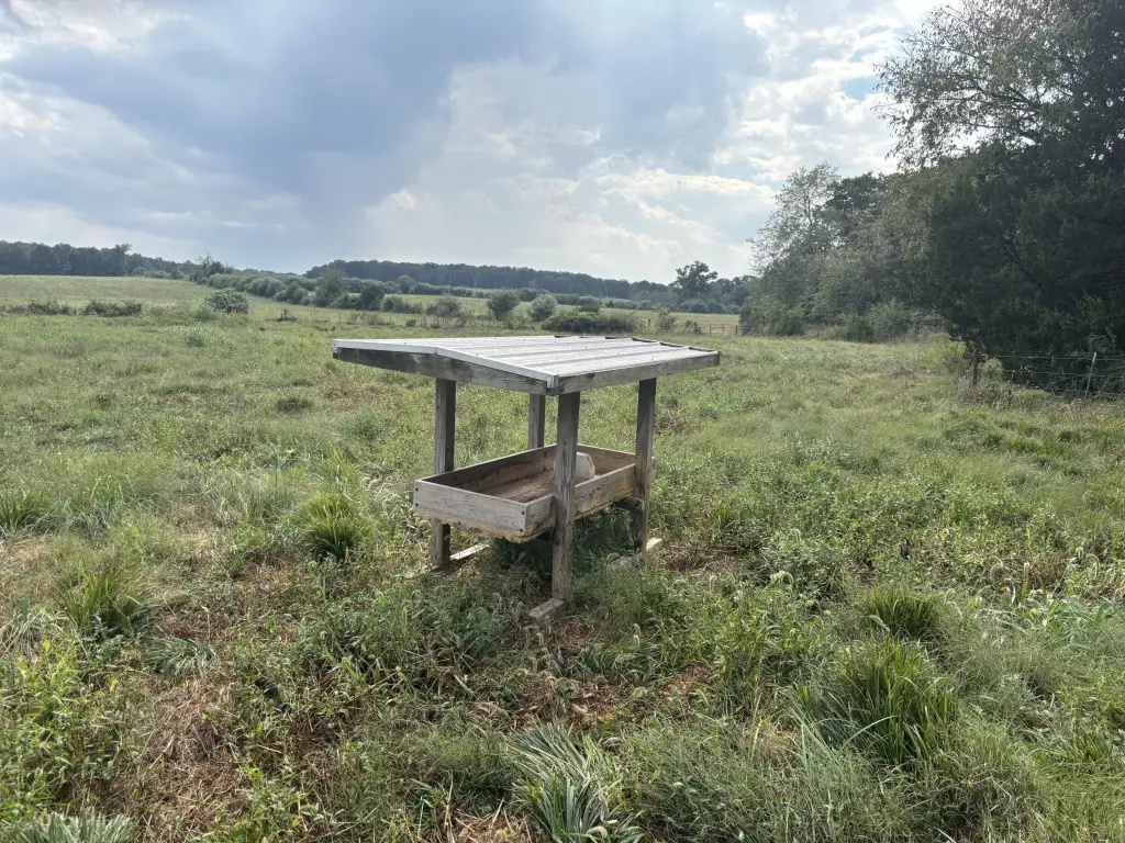 Picture 19