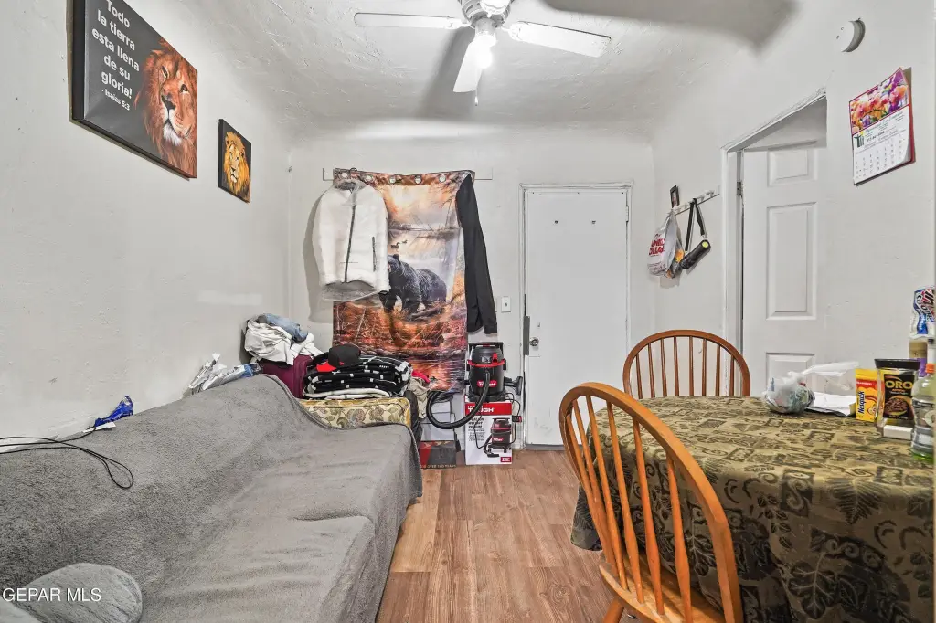 Picture 5