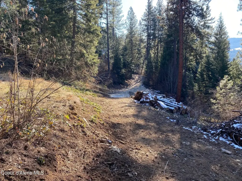 Picture 8