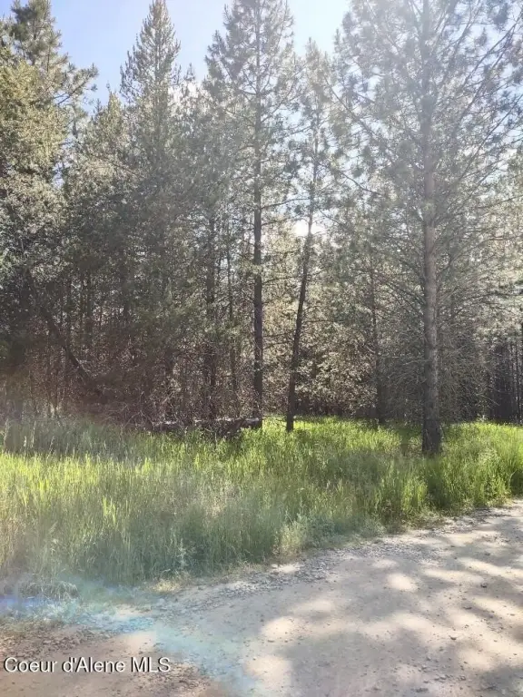 Picture 9