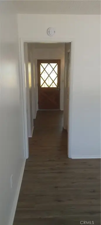 Picture 24