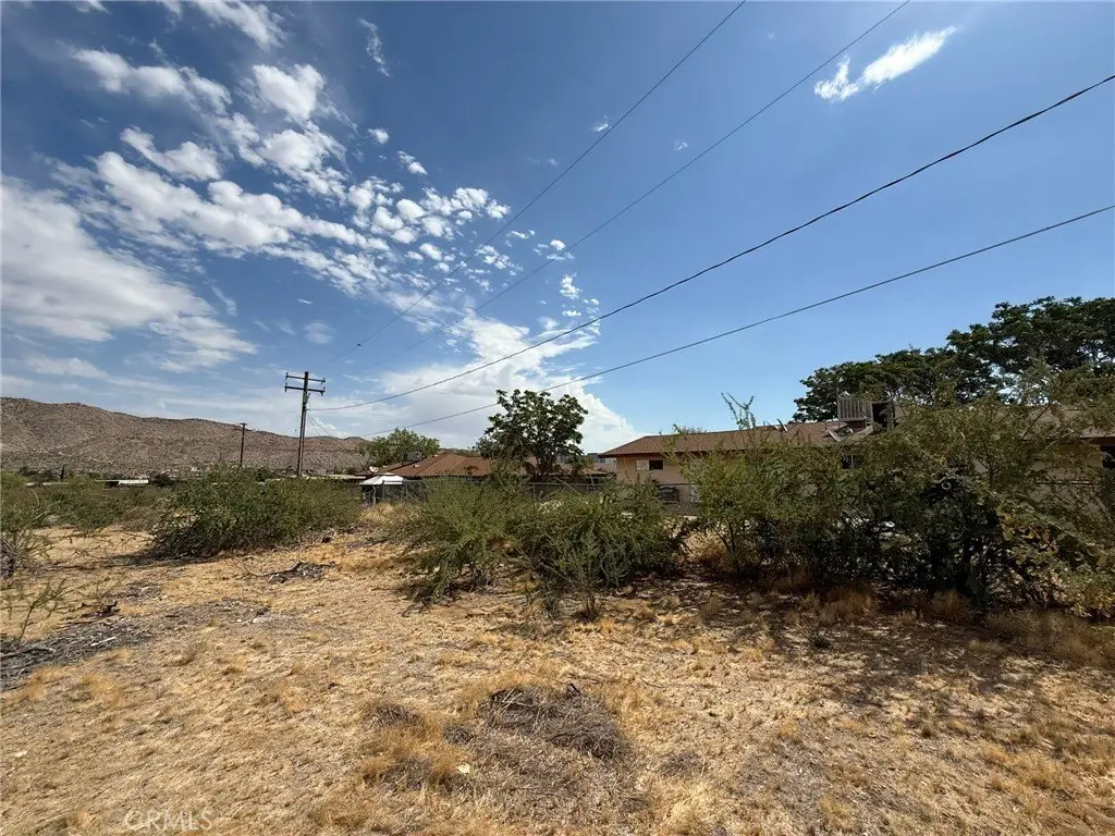 Picture 61