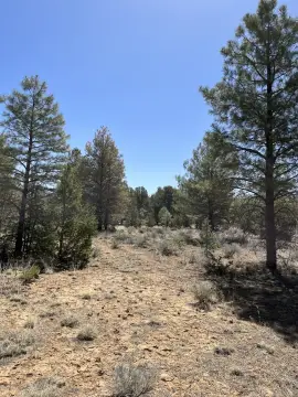 Land in Ramah, New Mexico