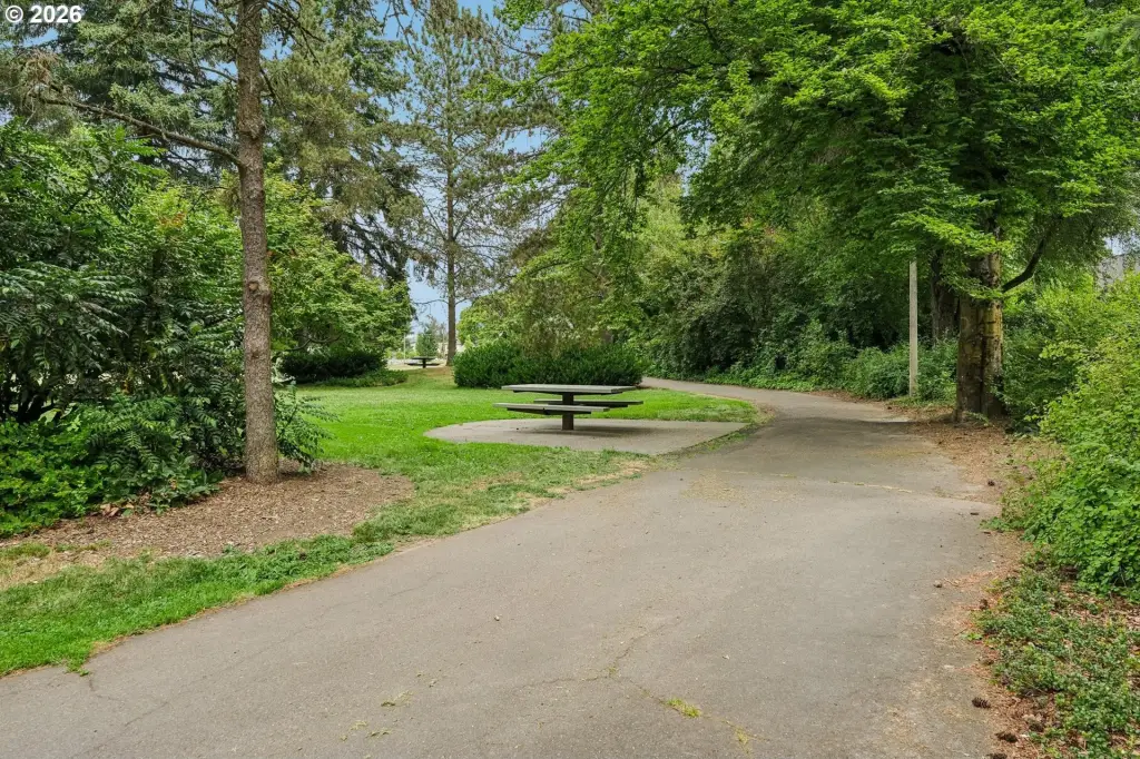 Picture 48