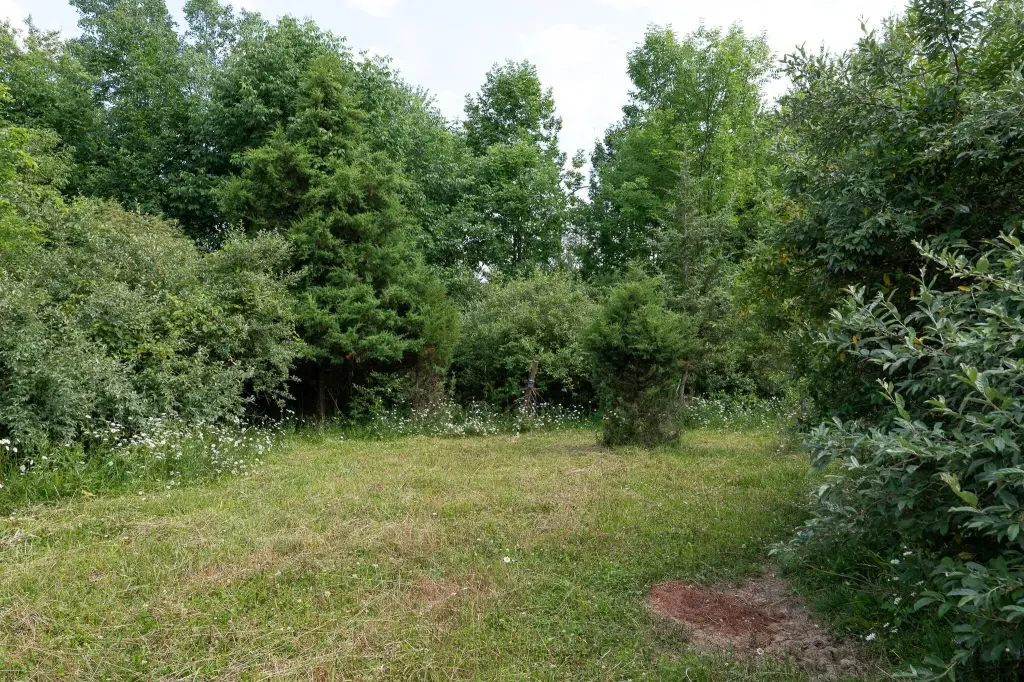 Picture 22