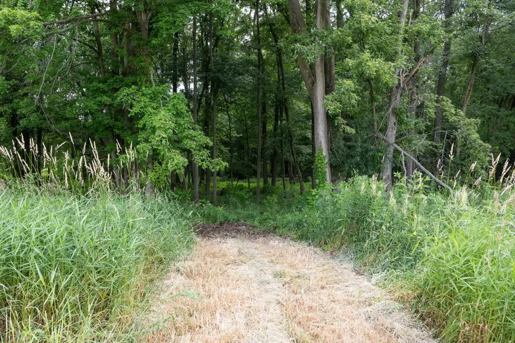Picture 25