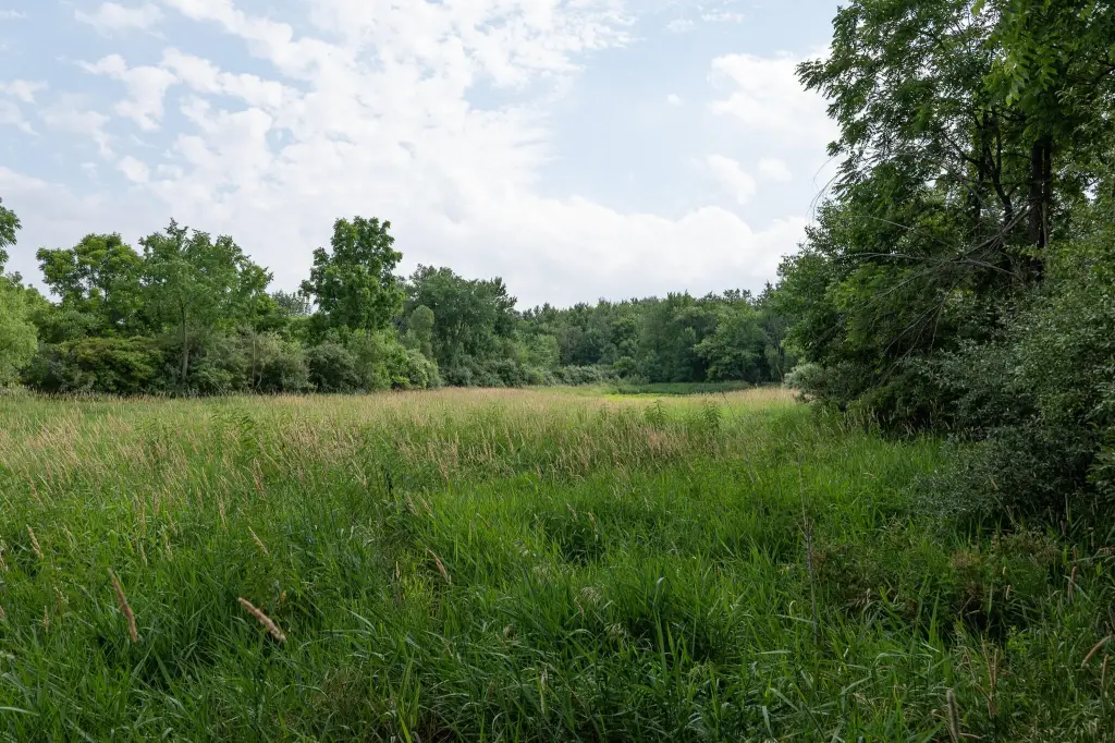 Picture 28