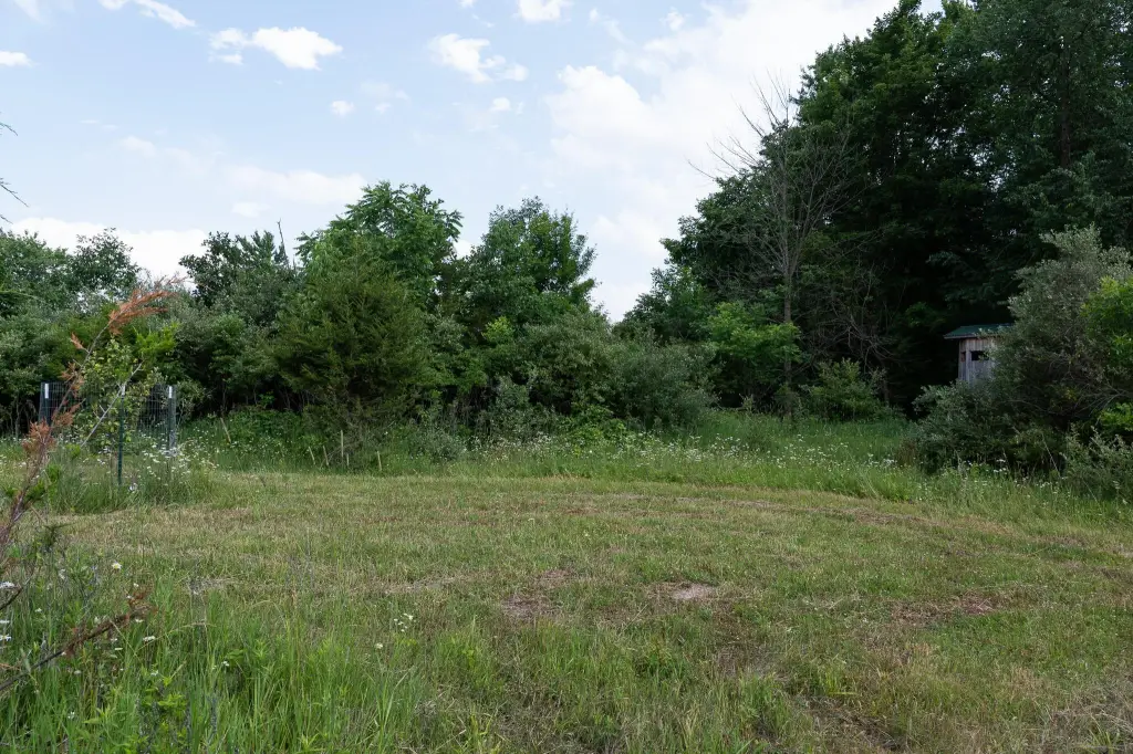 Picture 32