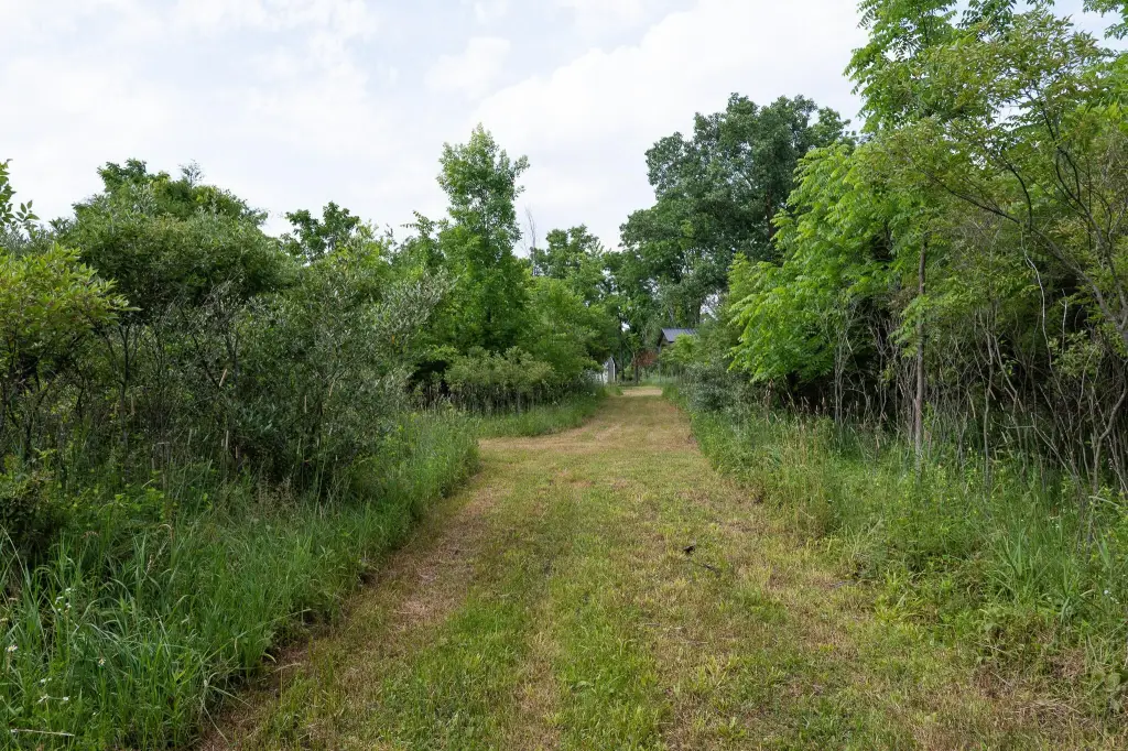 Picture 26