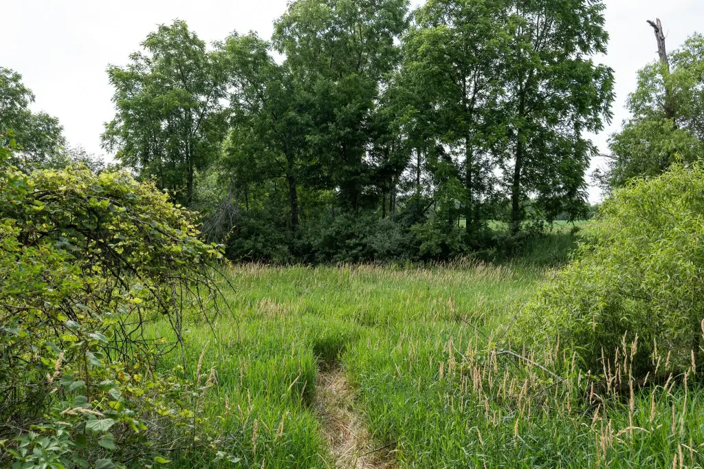 Picture 27
