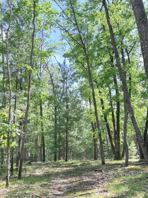 Picture 14
