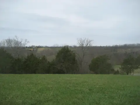 21 Acres Rolling Pasture Land