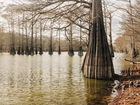Mississippi Delta Recreational Land