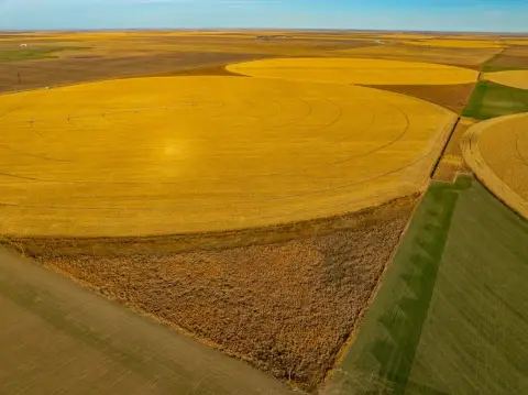 Productive Irrigated Farmland Opportunity