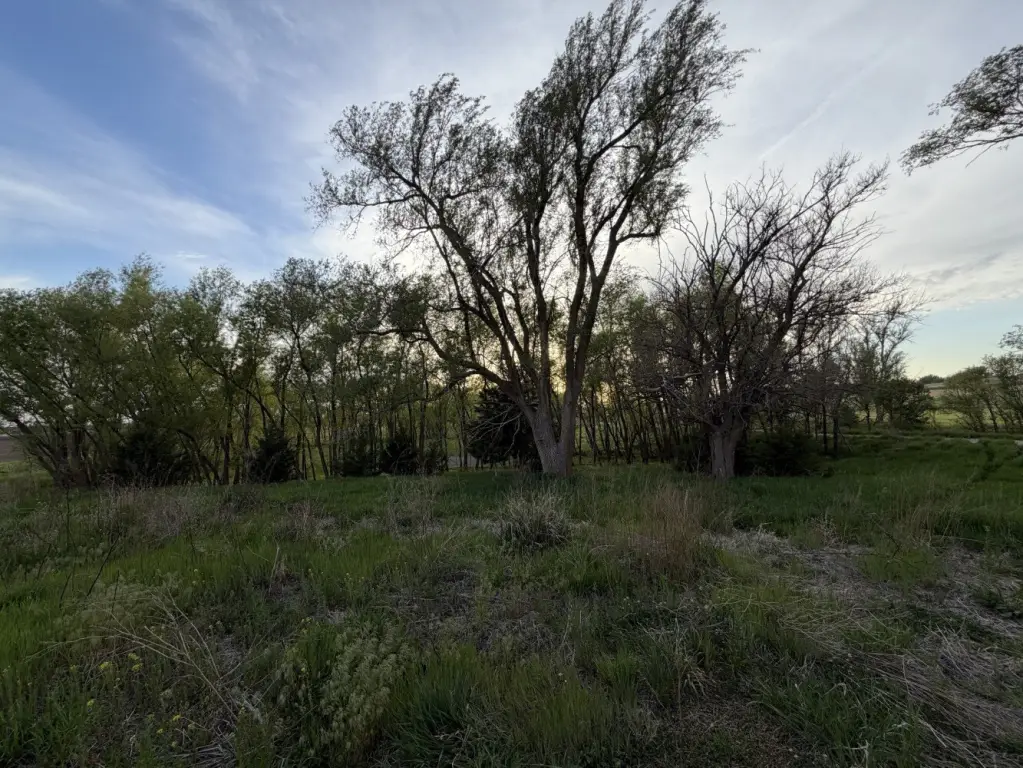 Picture 6