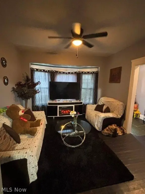 Picture 5