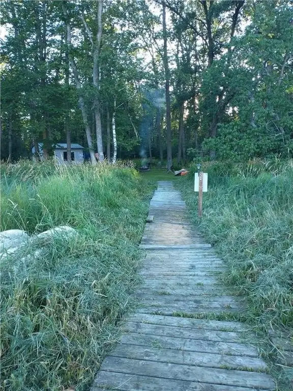 Picture 5
