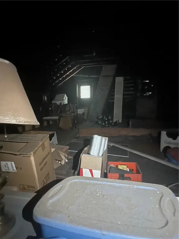 Picture 48
