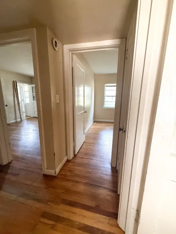 Picture 12