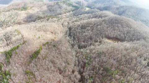 42 Acres of Hunting Land