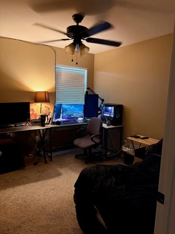 Picture 19