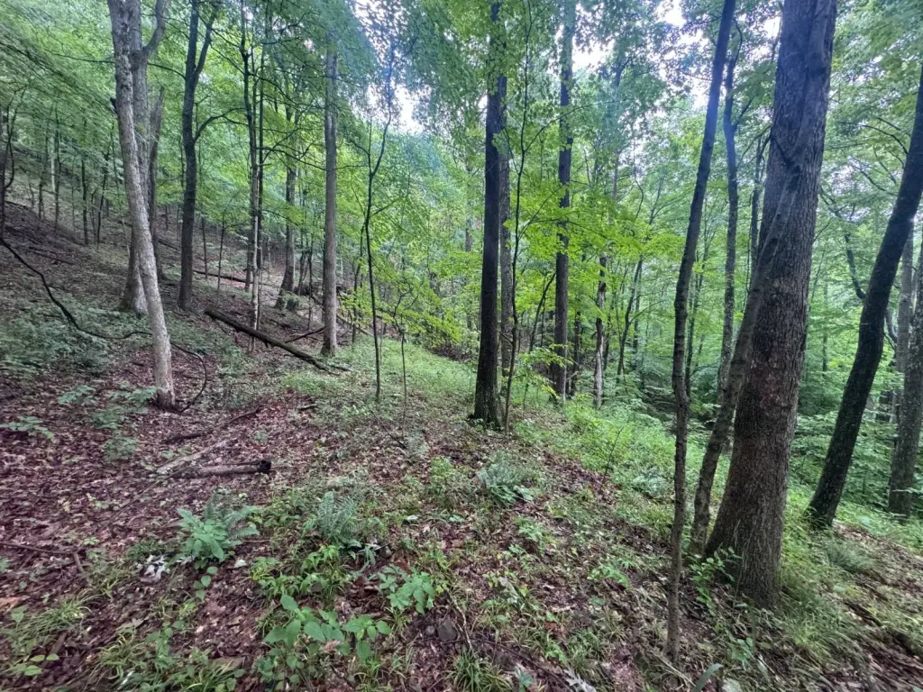 Picture 18
